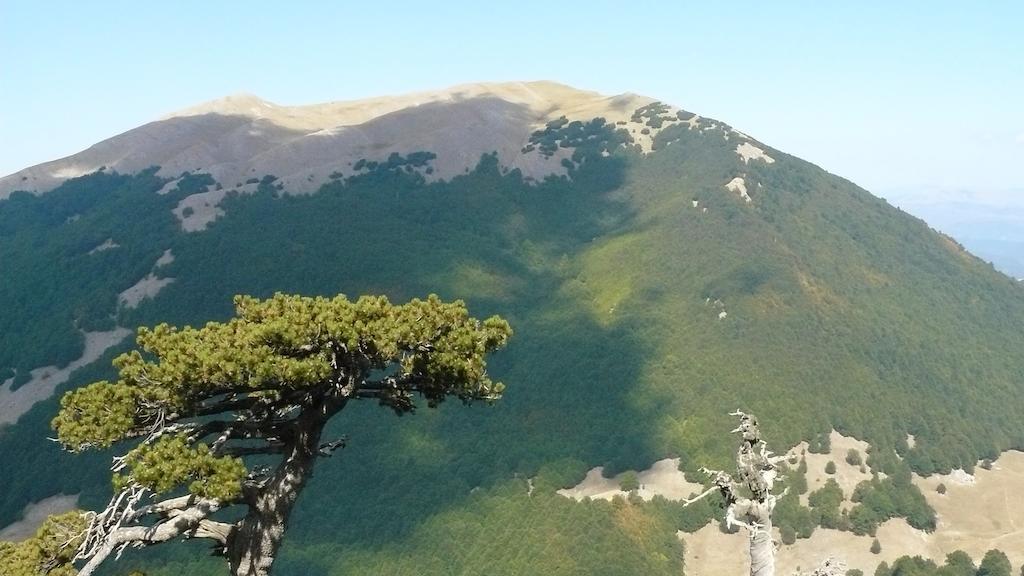 Il Belvedere 奇维塔 外观 照片